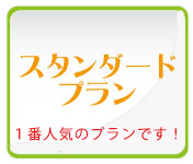 ホームページ制作スタンダードプラン